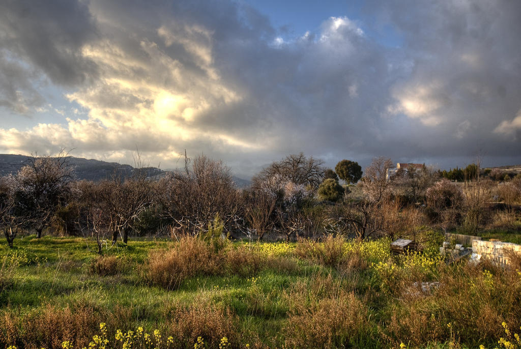Lania Royal Oak House By Trulycyprus Villa Kültér fotó